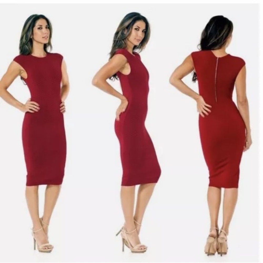 Torn by Ronny Kobo Burgundy Dress size Large Textured